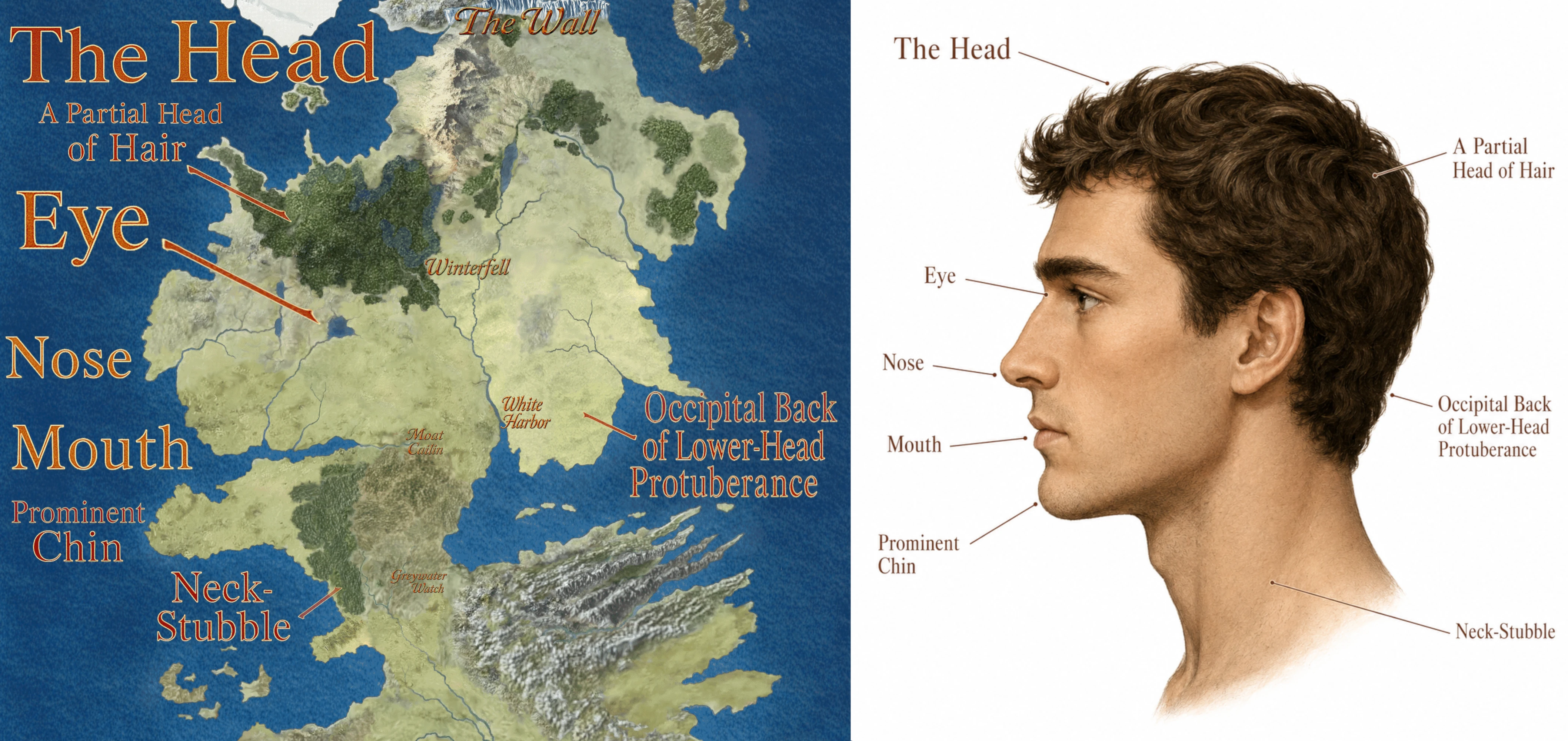 Map and human head comparison